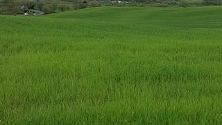 Bagno vignoni