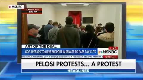 Birdbrain Pelosi Blows Off Trump Protest She Organized