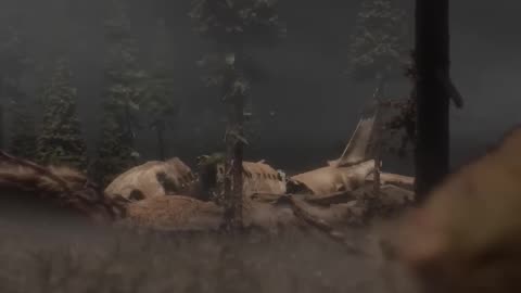 Forgotten plane wreck in the woods🎬✈️