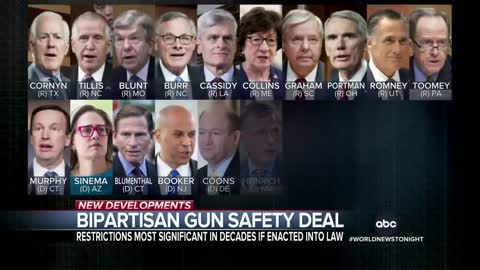 "Framework of bipartisan gun safety deal reached "