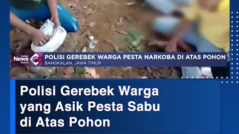 Polisi Gerebek Wargayang Asik Pesta Sabu di Atas Pohon