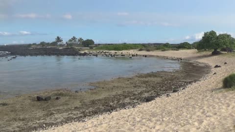 Kailua-Kona, HI — Wawaloli Beach Park