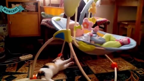 Funny Baby Videos Baby And Cat Cute Baby Videos