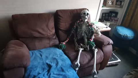 Pup gets scared by spooky skeleton Halloween decoration