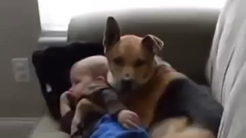 Dog hugging baby lovingly