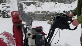 Silly Pup Plays with Snow Blower