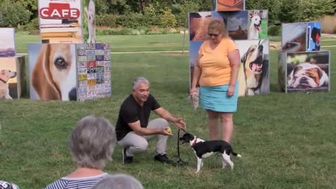 How To Stop Your Dog from Jumping on People w/ Cesar Millan
