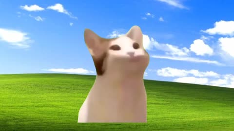 Pop Cat but it's Bass Boosted ft. Windows XP Wallpaper