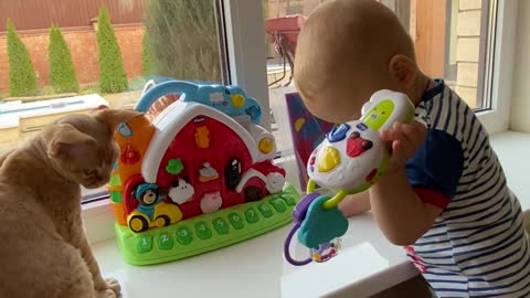 A cute baby playing with his toys and cat