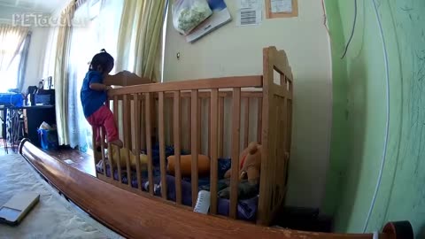 Funny Babies Escaping Cribs