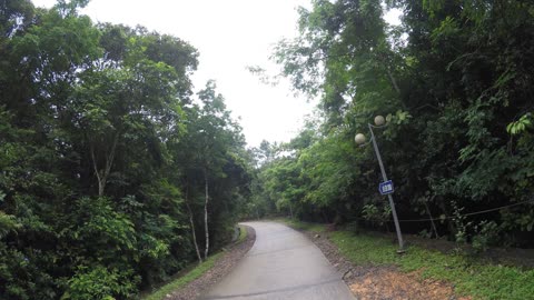 Beautiful road to pagoda in Vietnam.