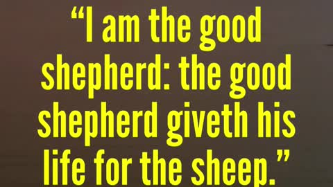 JESUS SAID.. “I am the good shepherd: the good shepherd giveth his life for the sheep.”