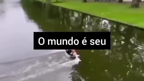 Nunca desista dos seus sonhos