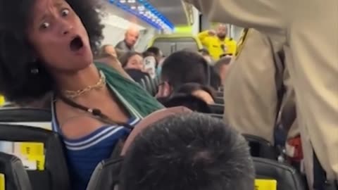 woman go nuts as she's dragged off Spirit Airlines flight