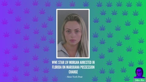 WWE Star Liv Morgan Arrested with Marijuana