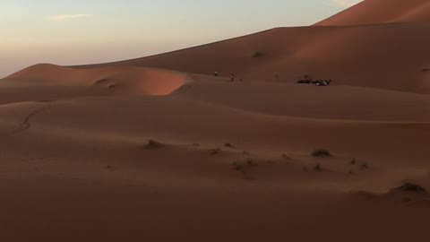 Sahara desert