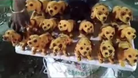 Village fair house dog dolls | 2022 Top doll videos..for Basak01