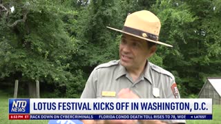 Lotus Festival Kicks Off in Washington, DC