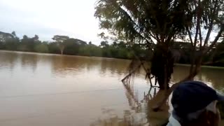 impactantes videos tras la ruptura de dos diques en Sabana de Torres y Rionegro