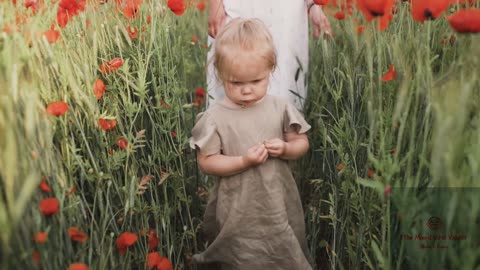 3 year old girl walking between red poppy flowers