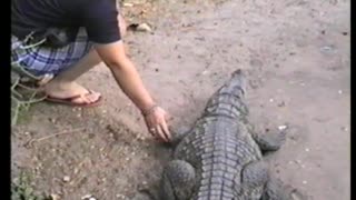 Woman Nearly Gets Hand Bitten Off By Alligator