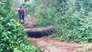 Kid riding bike in the forest, hits brakes and flies off his bike