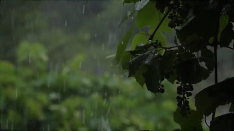 Rain" 3 Hours of Heavy Rainfall & Thunder Sounds (Instant Relaxation) #ThunderstormRain