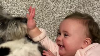 Baby and Dog Crack Each Other Up