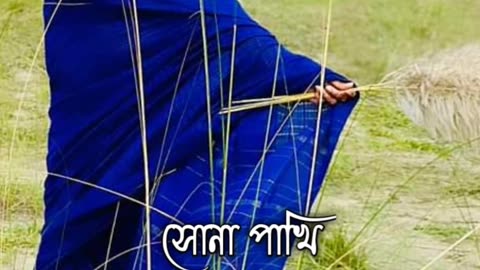 Bangladeshi Actor/Actress TikTok Video....