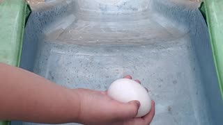 Egg - Slide Test