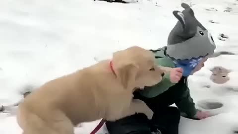 The dog and its owner are playing in the snow