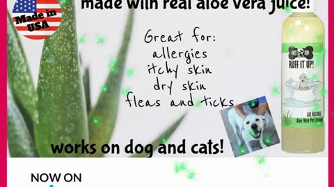 Why Aloe Vera for dogs?