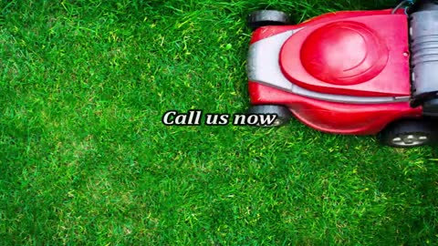 Dan's Lawn Care - (352) 309-6752