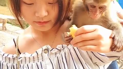 Adorable Baby Monkey You Should Skip Watching #7