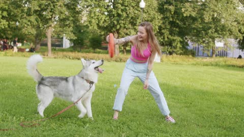 How To Become A Dog Trainer