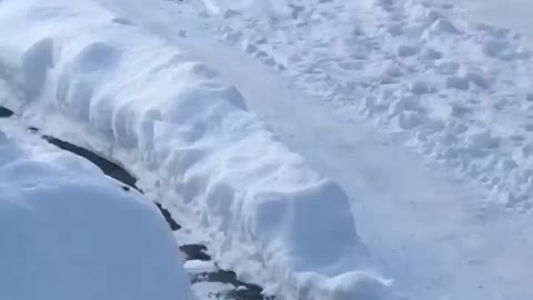 Little boy walking in snow falls