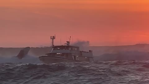 Whale Watching Boat Catches Waves Near San Diego