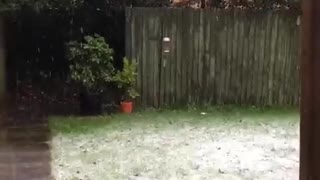 Este gato tiene una hermosa reacción al ver nieve por primera vez