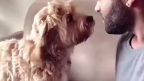 Funniest Cat And Dogs_Funny Animal Videos 2022