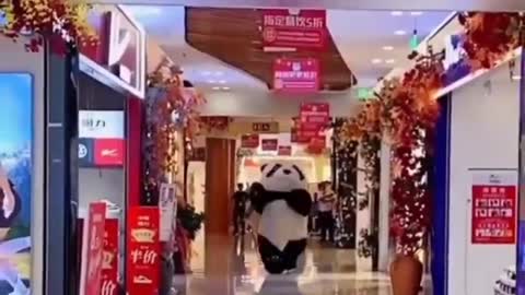 Panda Aprontando todas no shopinngg