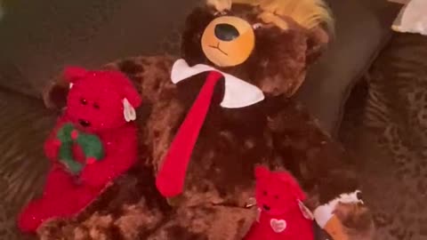 President Trumpy Bear