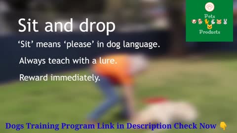 Brain Training For Dogs - Online Dog Trainer