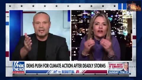 Bongino DESTROYS Dem, N0-me-KEY on climate change