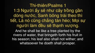 THI-THIÊN(PSALMS) 1 THÁNH CA (THUNDER HARP MIX)(TIẾNG VIỆT) VIETNAMESE #ahayah #vietnamese