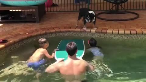 Pool-loving bulldog learns how to board