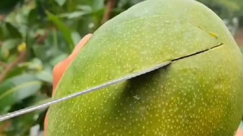 Fruits cutting video 🌺💥🥀