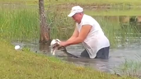 Brave Man Rescues His Dog from Alligator Attack!