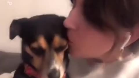 the funny reaction for the dog