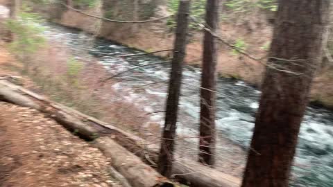 Descending to River Shoreline – Metolius River – Central Oregon