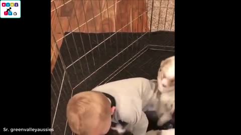 Dogs reaction to the baby for the first time, its so lovely!